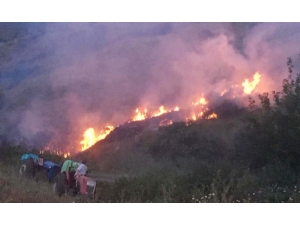 Nişancı’dan Orman Yangını Uyarısı