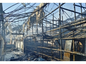 Sera Alev Alev Yandı, Zarar 4 Milyon Tl