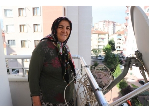 Balkonun Davetsiz Misafiri