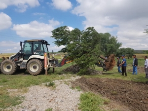 Altıntaş’ta Ağaçlandırma Ve Yol Yapım Çalışmaları