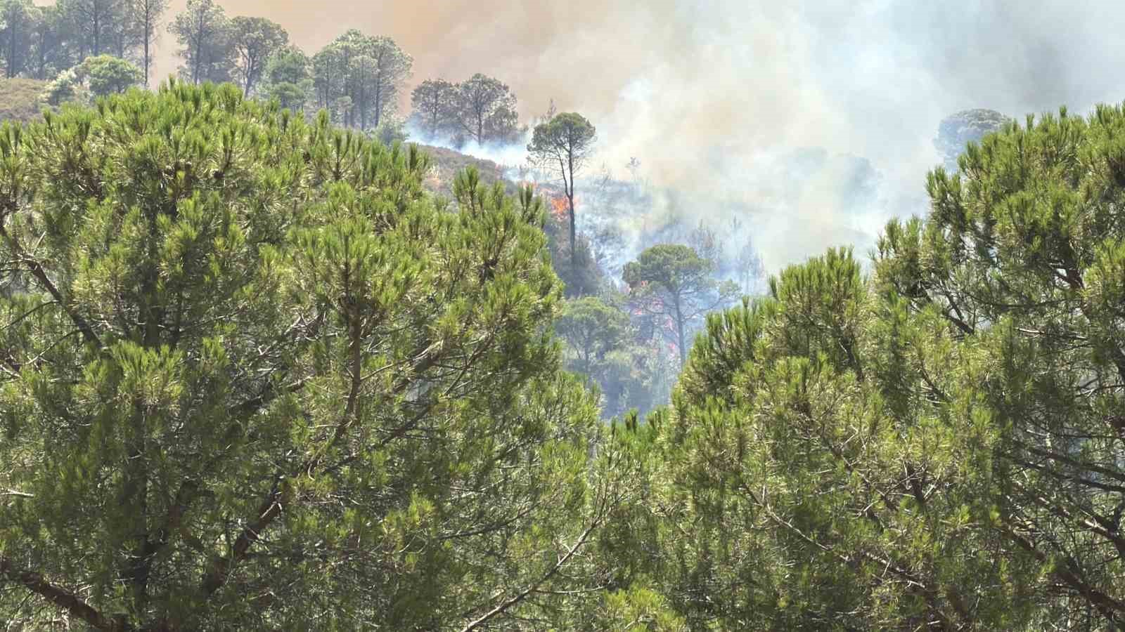 balikesir-deki-yangin-tekrar-yayiliyor