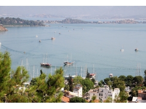 Denizin Renginin Alg Patlamasından Dolayı Değiştiği Ortaya Çıktı