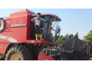 Mezopotamya Topraklarının İlk Yerli Tohumu Olan Sorgül’de İkinci Hasat Yapıldı