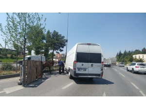 Kontrolden Çıkıp Devrilen At Arabası Trafiği Birbirine Kattı
