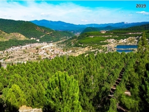 Kütahya Orman Bölge Müdürlüğünden Eski Maden Sahasında Ağaçlandırma Çalışması