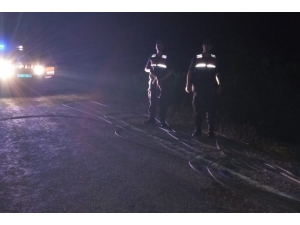 Telefon Kablolarını Çalmaya Çalıştılar