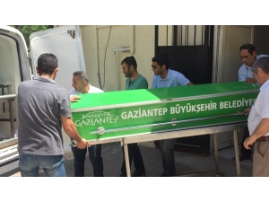 Otomobilin Çarptığı Yaya Öldü