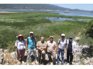 Beyşehir Gölü Milli Parkındaki En Uygun Yürüyüş Ve Bisiklet Güzergahları Tespit Ediliyor