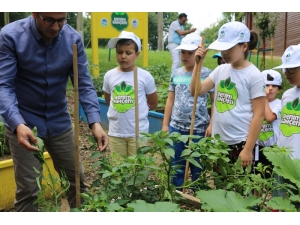 ‘Benim Bahçemin’ İlk Ürünleri Fide Vermeye Başladı