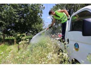 Serdivan’da İlaçlama Çalışmaları Hız Kazandı