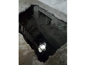 Defne Avcılarına Suçüstü