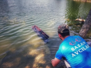 50 Yıldır Görülmeyen Balık Yeniden Porsuk’ta