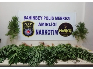 Polis Uyuşturucu Tacirlerine Göz Açtırmıyor