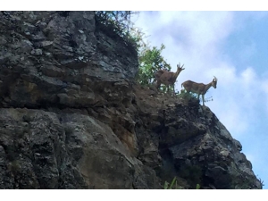 Tomara’nın Güzel Misafirleri Kameralara Takıldı