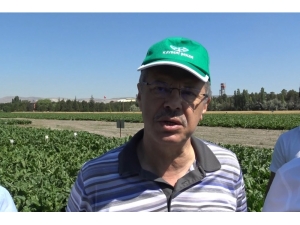 Kayseri Şeker, Pancar Tarımında Damlama Sulama Sistemini Yaygınlaştırıyor