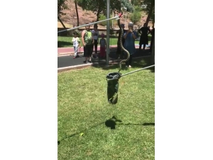 Korkutan Yılan Yakalanarak Doğal Ortamına Bırakıldı