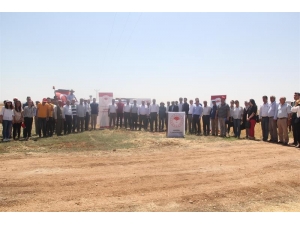 Mardin’de Çiftçilere Arda Nohut Çeşidi Tanıtıldı