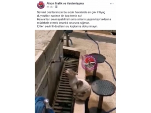 Sosyal Medyada Yürekleri Isıtan Görüntü