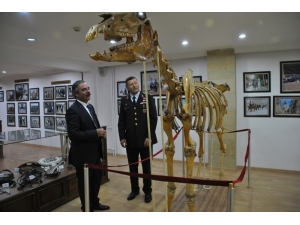 Nevü Ve Jakem Komutanlığı Arasında Atlı Terapi Ve Binicilik Eğitimi