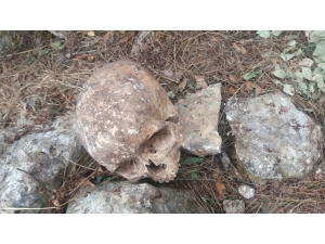Mersin’de 3 Kişiye Ait Kafatası Ve Kemik Bulundu