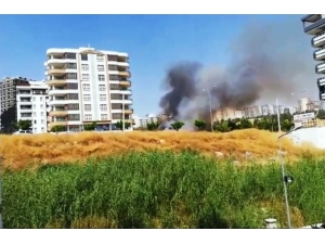 Şanlıurfa’da Anız Yangını Korkuttu