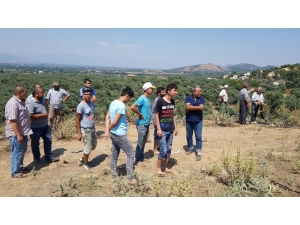 Tire’deki Makilik Yangını Söndürüldü
