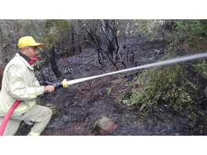 Osmaniye’de Orman Yangını