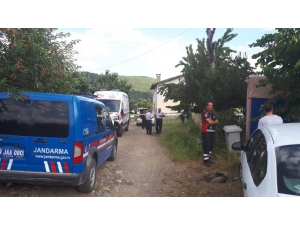 Yaşlı Adam Havuzda Ölü Bulundu