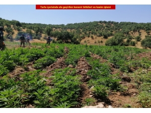 Diyarbakır’da Dev Uyuşturucu Operasyonu