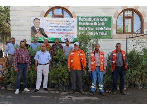 Kilis Belediyesi Asri Mezarlıkta Fide Dağıttı