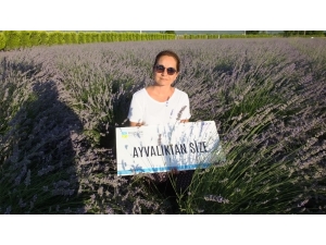 İki Çocuk Annesi Aromatik Bitki Üretimi İçin Okullu Oldu