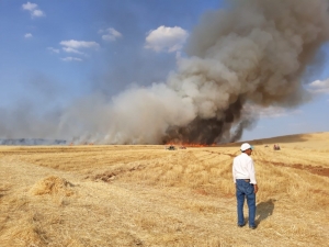 Bozova’da 200 Dönümlük Arpa Tarlası Kül Oldu
