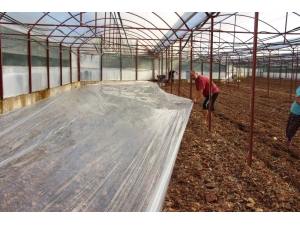 Virüse Dayalı Ve Fungusit Hastalıklarla Baş Edemeyen Çiftçiler, Seralarda Solarizasyon Uygulaması Başlattı