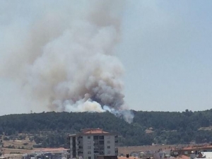 İzmir’in Buca İlçesinde Ormanlık Alanda Yangın Çıktı. Rüzgarın Da Etkisiyle Büyüyen Yangına 5 Helikopter Ve 12 Arazöz İle Müdahale Ediliyor. Yangın Bölgesine Balıkesir Ve Muğla’dan Da Helikopterlerin Sevk Edildiği Öğrenildi.