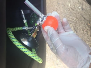 Cezaevi Firarisi Ve Cinayet Zanlısı Uyuşturucu Ticareti Yaparken Yakalandı