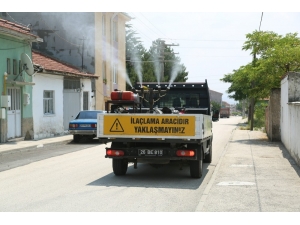 Odunpazarı’ndan Haşereyle Mücadele