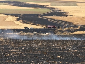 Ereğli’de Hububat Ekili Arazide Yangın