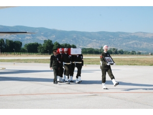 Evin Tek Oğluydu, Şehit Düştü