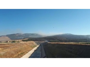 Gaziantep’te Anız Yangını Ormana Sıçradı