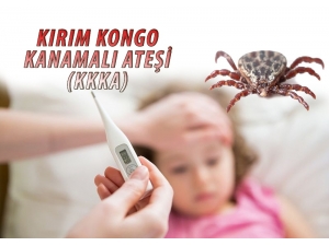 Keneye Karşı Lavanta Ve Kekik Yağı