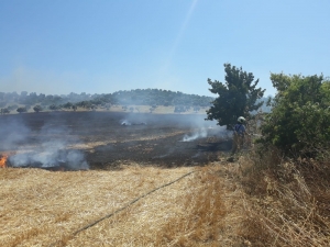 Burhaniye’de Anız Yangını İtfaiye Söndürdü