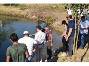 Kozluk’taki Balıklı Gölün Çevre Düzenlemesi Yapılacak
