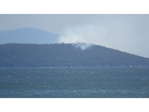 Heybeliada’da Yangın Paniği
