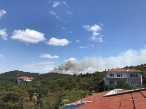 Heybeliada’da Yangın Paniği