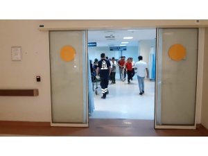 Siirt’te Yılanın Isırdığı Adam Tedavi Altına Alındı