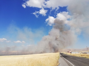 Malatya’da Anız Yangını