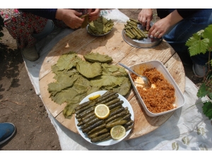 Japonlar Tokat Yaprağı Yiyecek