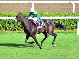 93. Gazi Koşusu’nu Ahmet Çelik’in Jokeyliğini Yaptığı The Last Romance İsimli At Kazandı.