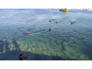 Datça’da Denizden 1,5 Ton Çöp Çıkartıldı