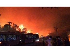 Dikili’deki Yangının Ardından Bir Yangın Da Özdere’de
